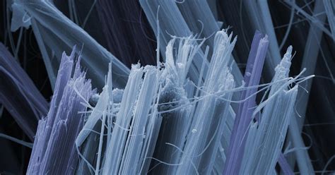 We offer a variety of graticules for asbestos microscopy