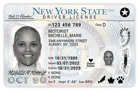 New York State Makes Major Changes to Driver's License, State ID