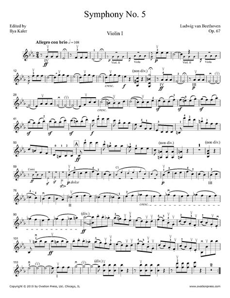 Beethoven Symphony No. 5 Violin I Part by Ilya Kaler