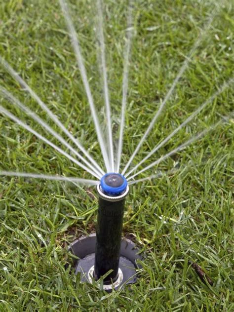 How to Install a Pop-Up Continuous Sprayer Sprinkler Head | how-tos | DIY