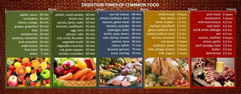 Digestion times for common food – Artofit