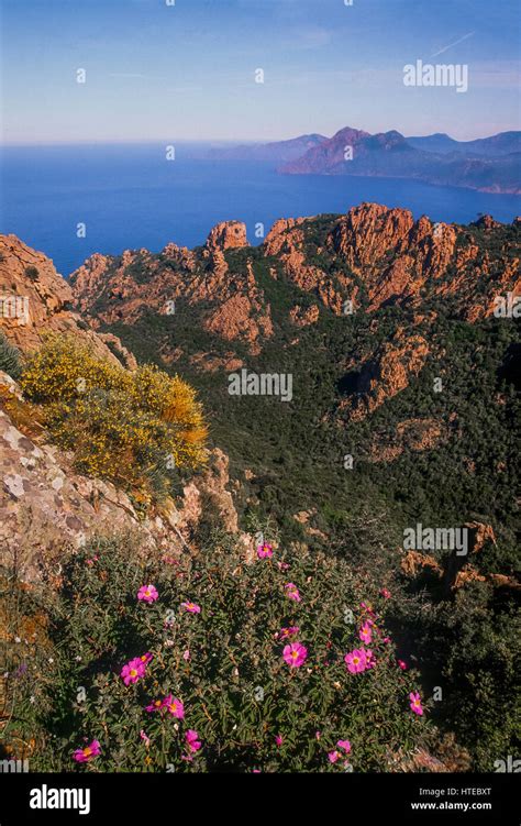 Isola piana island hi-res stock photography and images - Alamy