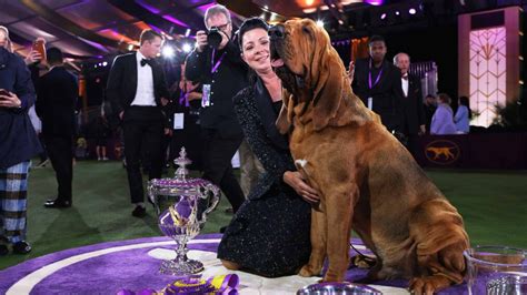 Westminster Kennel Club Dog Show 2023 TV Schedule & All You Need to Know