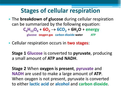 Cellular Respiration - online presentation