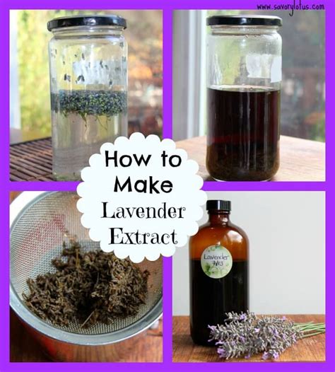 How to Make Lavender Extract