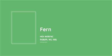 About Fern - Color meaning, codes, similar colors and paints - colorxs.com