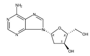 2'-脱氧腺苷的合成和生物活性