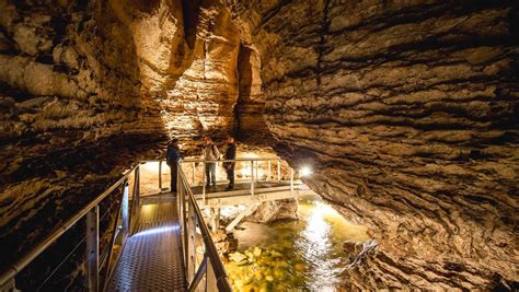 Te Anau Glowworm Caves - Real Journeys