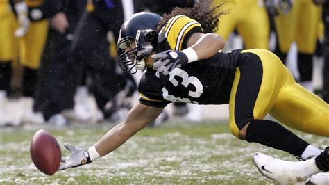 The best of Polamalu