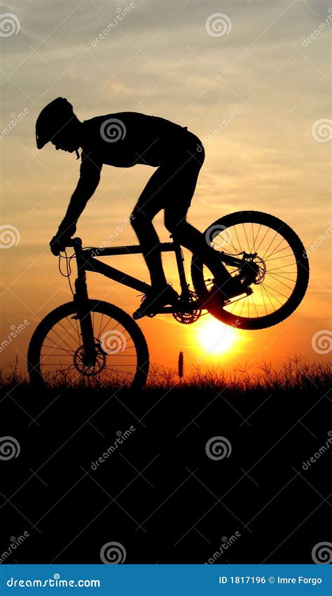 Mountain biker silhouette stock photo. Image of helmet - 1817196