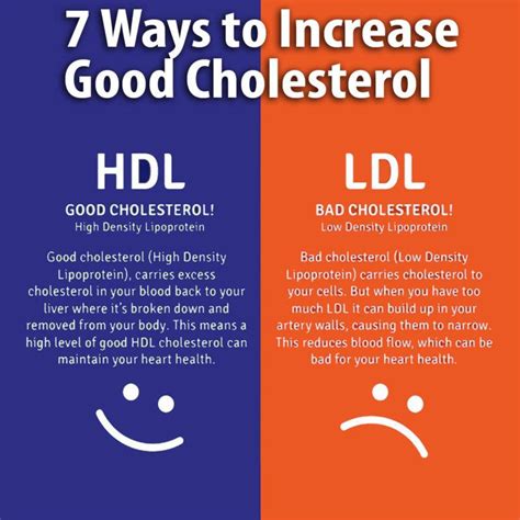 Seven Ways to Increase the Good HDL Cholesterol - Kinney Physical Therapy & Wellness