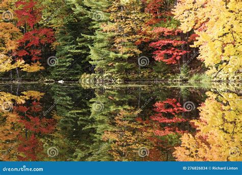 Fall Color - Three Lakes, Wisconsin Area Stock Photo - Image of three, colors: 276826834