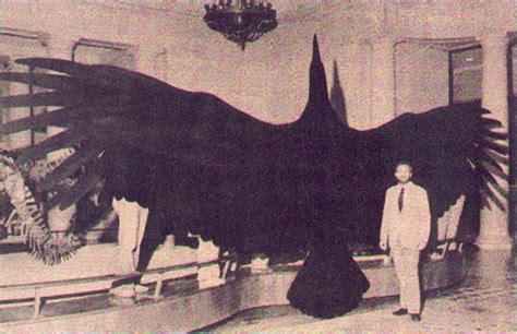 Argentavis Magnificens Facts, Habitat, Pictures, Range and Flight