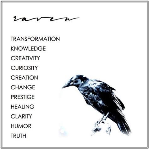 RAVEN MEANING | RAVEN SYMBOLISM | Birds | Pinterest | Her cut, Stand for and Raven feather