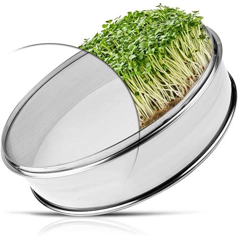 Stainless Steel Seed Sprouting Tray | 8 Inch Sprout Growing Kit | Growing Fresh Wheat Grass ...