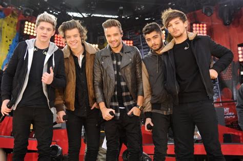 One Direction Fans Freak Out Over Ticketmaster Reunion Concert Date Listing