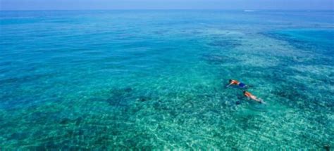 Best Snorkeling in Florida – Great Places to Visit