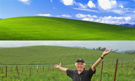 Here's how to visit the iconic hill in the Windows XP background – Film ...