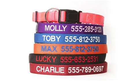 Personalized Dog Collars - Qualtry