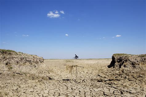 Explained: how El Niño impacts health | News | Wellcome