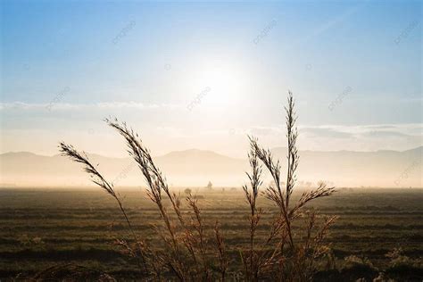 Sunrise On Field Mountain Wild Sky Sunrise Photo Background And Picture For Free Download - Pngtree