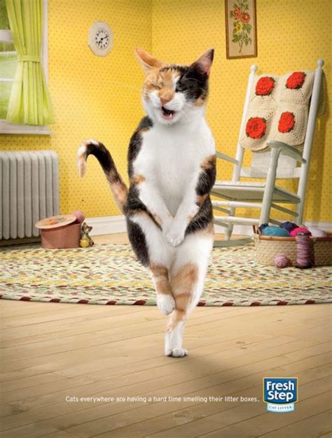 40 creative Funny ads | Curious, Funny Photos / Pictures