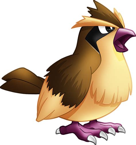 Pokemon Pidgey Images | Pokemon Images