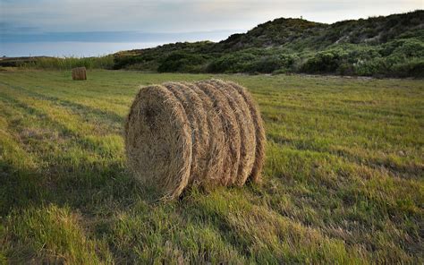 Download wallpaper 2560x1600 hay, field, nature, landscape widescreen ...