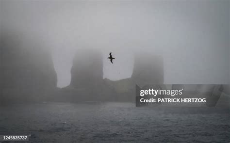 Kerguelen Arch Photos and Premium High Res Pictures - Getty Images