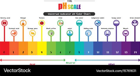 Ph scale universal indicator color chart Vector Image