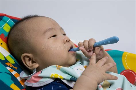 Korean Baby Eating a Baby Food Stock Photo - Image of food, health: 132167418