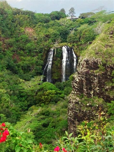 Opaekaa Falls, Kauai | Hawaii travel, Kauai, Hawaii hikes