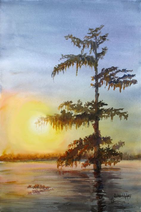 A warm sun at sunset, peeking through the moist, humid air, silhouetting the lone Cypress tree ...