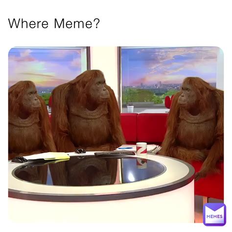 Where Meme? | @SariStex | Memes