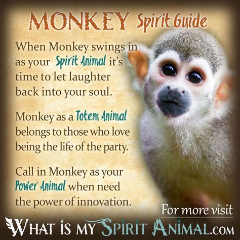 Monkey Symbolism & Meaning | Spirit, Totem & Power Animal | Animal totem spirit guides, Power ...