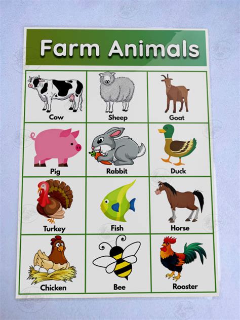 Farm Animals Laminated Educational Chart (A4) Mga Hayop sa Bukid Wall charts for kids | Lazada PH