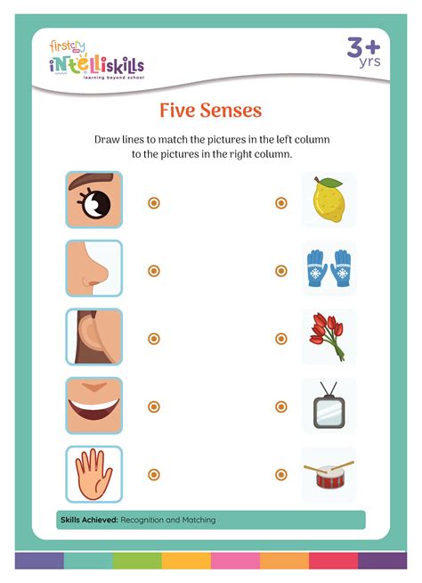 Sensory Walks in School - Five Senses Field Walk - Worksheets Library