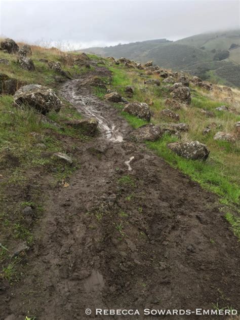 Five Tips for a Successful Hike on Muddy Trails - Calipidder