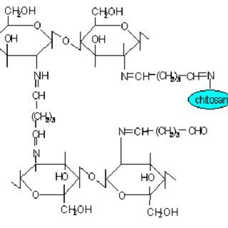 Structure of: a) daunorubicin and b) chitosan. | Download Scientific Diagram