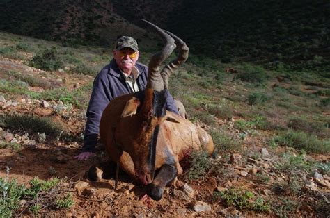 Sable hunt in South Africa - African Hunting Safaris