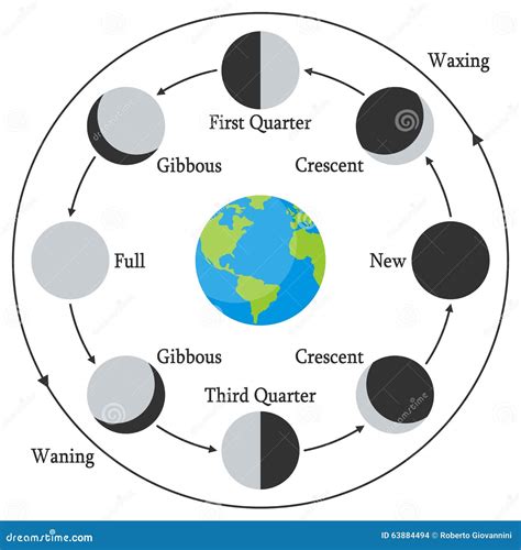 Cartoon Earth With Moon Phases Vector Illustration | CartoonDealer.com ...