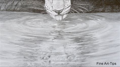 How to Draw a Reflection on Water - A Leopard Drinking Water - YouTube