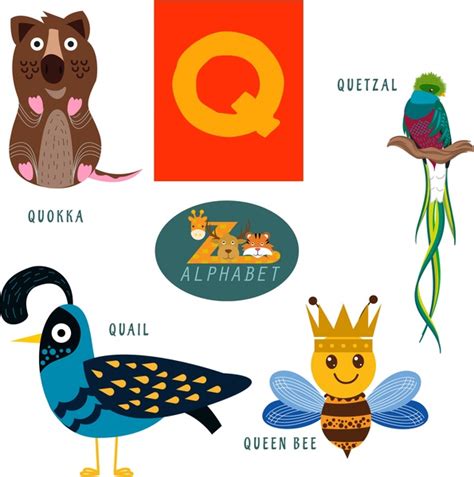 Q letter education with cute animals illustration Vectors graphic art ...