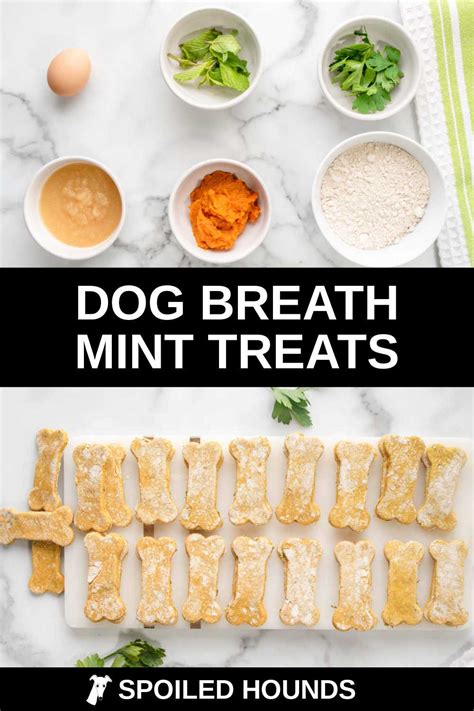 Homemade Dog Breath Mints - Spoiled Hounds