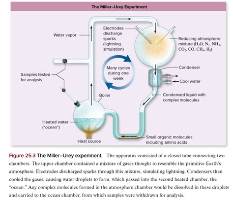 Miller Experiment