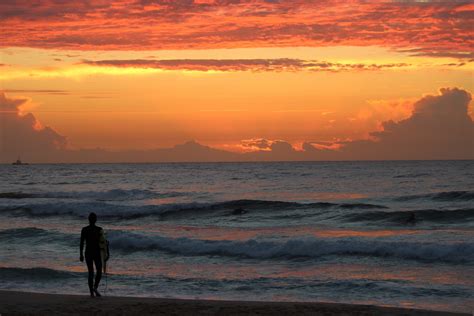 Surfer Enjoying Seaside Sunset Free Stock Photo - Public Domain Pictures