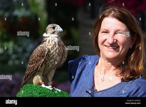 Dubai, Falke, Dubai Falke, schöne Frau kommuniziert mit einem Falken im ...