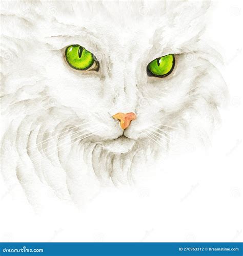 Green Eyes Cat Portrait. Watercolor Draw Cat Stock Illustration - Illustration of headphones ...