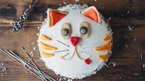 Cat Cake Ideas