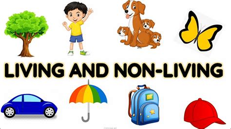 Differences between Living & Non-Living things | Science Class 5